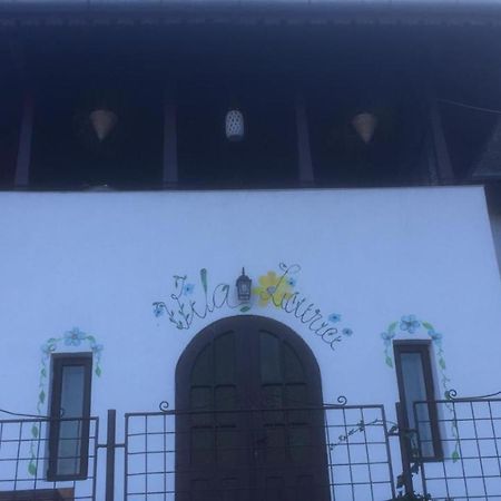 Vila Licurici カリマネシュティ・カシウラタ エクステリア 写真